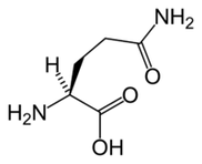 L-glutamin v Keto Diet